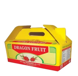 Multi Colour Boxes